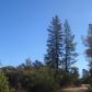 11166 Treasure Box Road, Grass Valley, CA 95945 ID:2587334