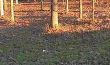 LOT#38 NORTHPARK 1 Eddyville, KY 42038
