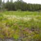 51101 Crestview Ave, Kenai, AK 99611 ID:1171024