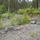 51101 Crestview Ave, Kenai, AK 99611 ID:1171028