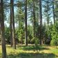 14822 Osborne Hill Road, Grass Valley, CA 95945 ID:1137352