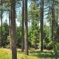 14822 Osborne Hill Road, Grass Valley, CA 95945 ID:1137355