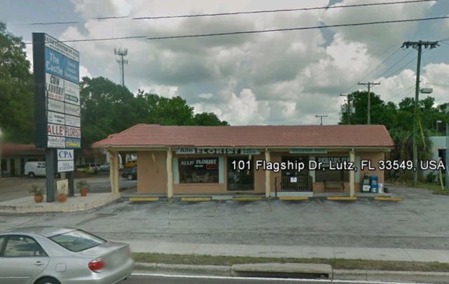 101 Flagship Drive, Lutz, FL 33549