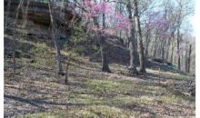 6.193 acre Honey Creek Rd Eureka Springs, AR 72631