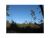 0 Hwy 121 Elmer, LA 71424