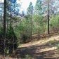 15461 Auburn Rd, Grass Valley, CA 95949 ID:1148007