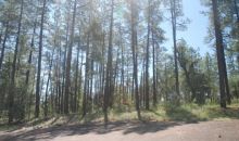 Lot 40 Hunter Creek Ranch Payson, AZ 85541