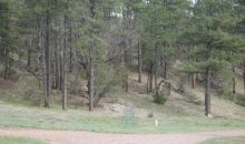 4C E. Running Elk Rd. Payson, AZ 85541