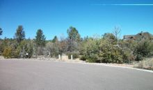 1300 W. Norris Court Payson, AZ 85541