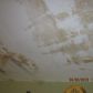 14900 GARDEN DR, Miami, FL 33168 ID:137801