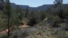 60 Fox Trail Loop Sedona, AZ 86351