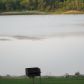 2064 Mcdivitt, Milford, MI 48381 ID:197264