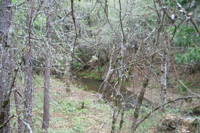 13615 Lost Lake Road, Grass Valley, CA 95945