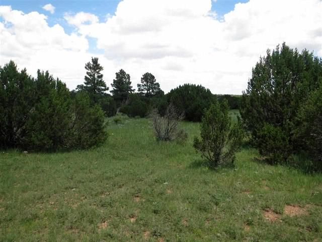 3371 Tonto Road, Overgaard, AZ 85933