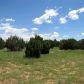 3371 Tonto Road, Overgaard, AZ 85933 ID:3224401