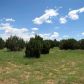 3371 Tonto Road, Overgaard, AZ 85933 ID:3224401