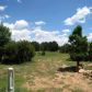 3371 Tonto Road, Overgaard, AZ 85933 ID:3224405