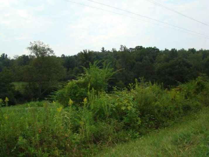 0 Yahoola Road, Dahlonega, GA 30533