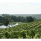 3 Strada Valdichiana, Dahlonega, GA 30533 ID:3292396