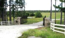 Hwy 62 East Viola, AR 72583