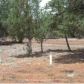 3569 Juniper Break, Overgaard, AZ 85933 ID:3224434