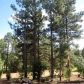 2205 Chevelon, Overgaard, AZ 85933 ID:3224635
