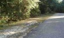 Lot 14 Reyes Strasse Ozark, AL 36360