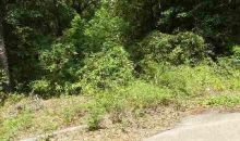 LOT 22 HORNSBY Ozark, AL 36360