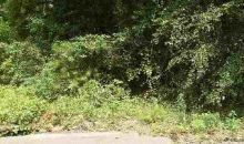 LOT 21 HORNSBY Ozark, AL 36360