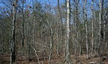 1 Dunlap Mill Road Gainesville, GA 30506