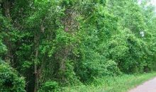 61.59 Acres MC 28 Texarkana, AR 71854