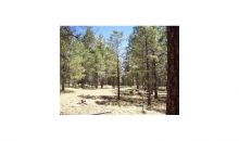 1C Coconino Forest Rd137A Parcel 4 Payson, AZ 85541