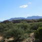 2024 W Cave Cotton, Benson, AZ 85602 ID:1632320