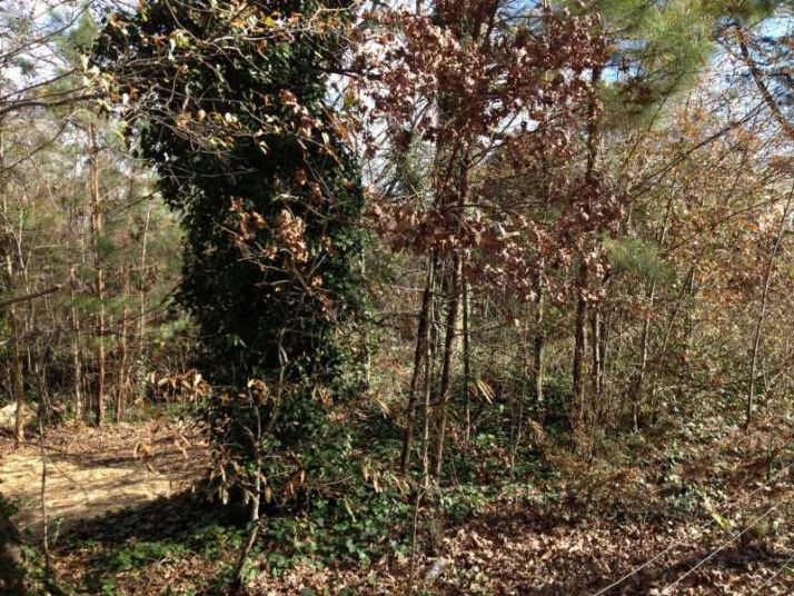 2055 E Roxboro Road, Atlanta, GA 30324