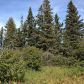 L9 B1 Berussa Road, Ninilchik, AK 99639 ID:1079795