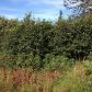 L9 B1 Berussa Road, Ninilchik, AK 99639 ID:1079800