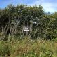 L9 B1 Berussa Road, Ninilchik, AK 99639 ID:1079802
