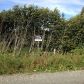 L9 B1 Berussa Road, Ninilchik, AK 99639 ID:1079799