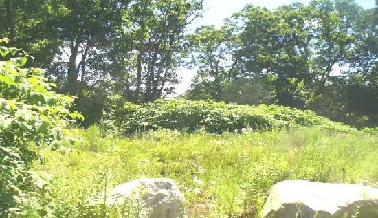 215 Old County Rd, Smithfield, RI 02917