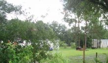 33601 MANDRAKE RD Wesley Chapel, FL 33543
