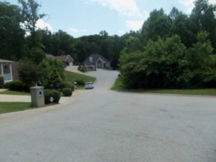 206 Creek View Road, Bremen, GA 30110