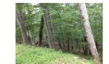 0 Locust Trail Jasper, GA 30143