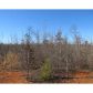 2 Steve Reynolds Road, Commerce, GA 30529 ID:3005703
