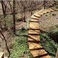 275 Skunk Hollow Road, Cleveland, GA 30528 ID:2874025