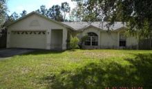 153 Buckhorn Run Lakeland, FL 33809