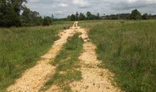 150 Wild Cherry Lane Ln Bexar, AR 72515