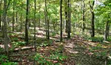 0 Hwy 56 Brockwell, AR 72517