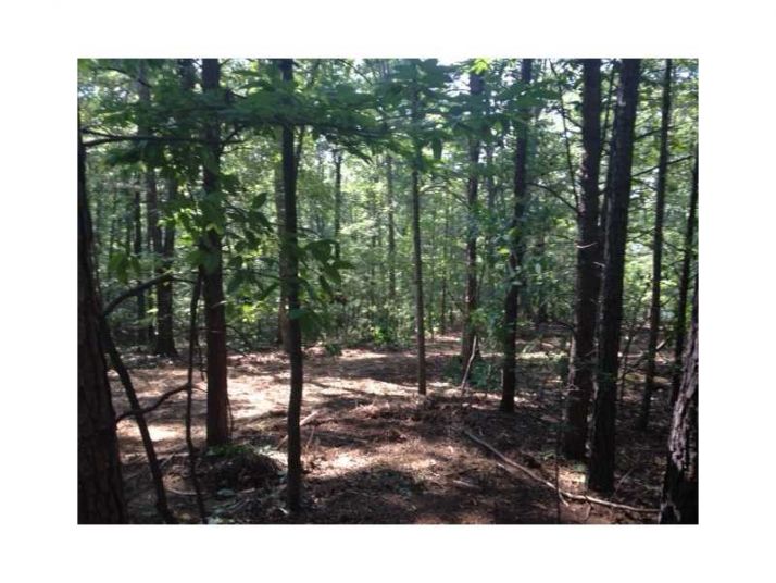 107 Sharp Mountain Creek, Ball Ground, GA 30107