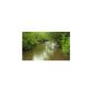 1340 Manley Road, Chatsworth, GA 30705 ID:2459087