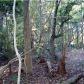 22 BARBARY COAST, Hollywood, SC 29449 ID:1904684